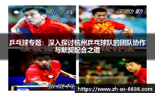 乒乓球专题：深入探讨杭州乒乓球队的团队协作与默契配合之道