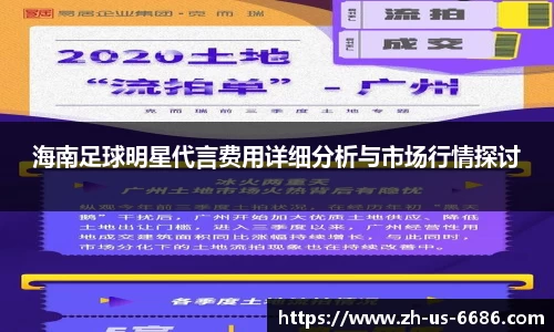 海南足球明星代言费用详细分析与市场行情探讨